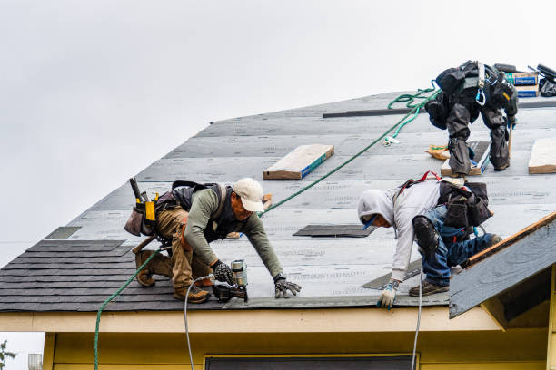 Professional Storm Damage Roof Repair technician working in New Liberty, KY